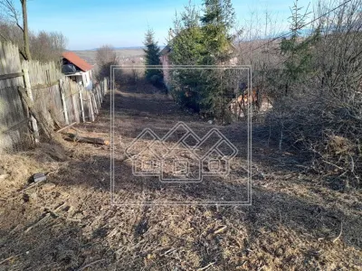 Teren in Daia, 2000 mp - intravilan, cu PUZ - Daia