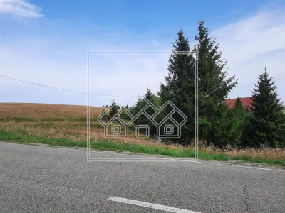 Teren intravilan de 800 mp - zona Arena Platos, Paltinis - foto 2