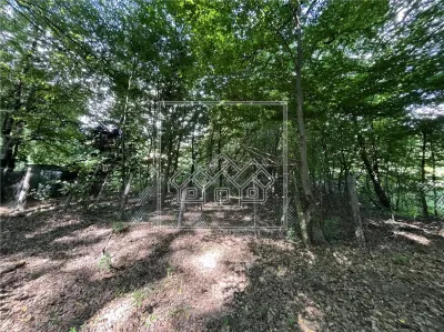 Teren in Cisnadie - 1.500 mp, inainte de Tocile, acces la drum, investitie - Cisnadie