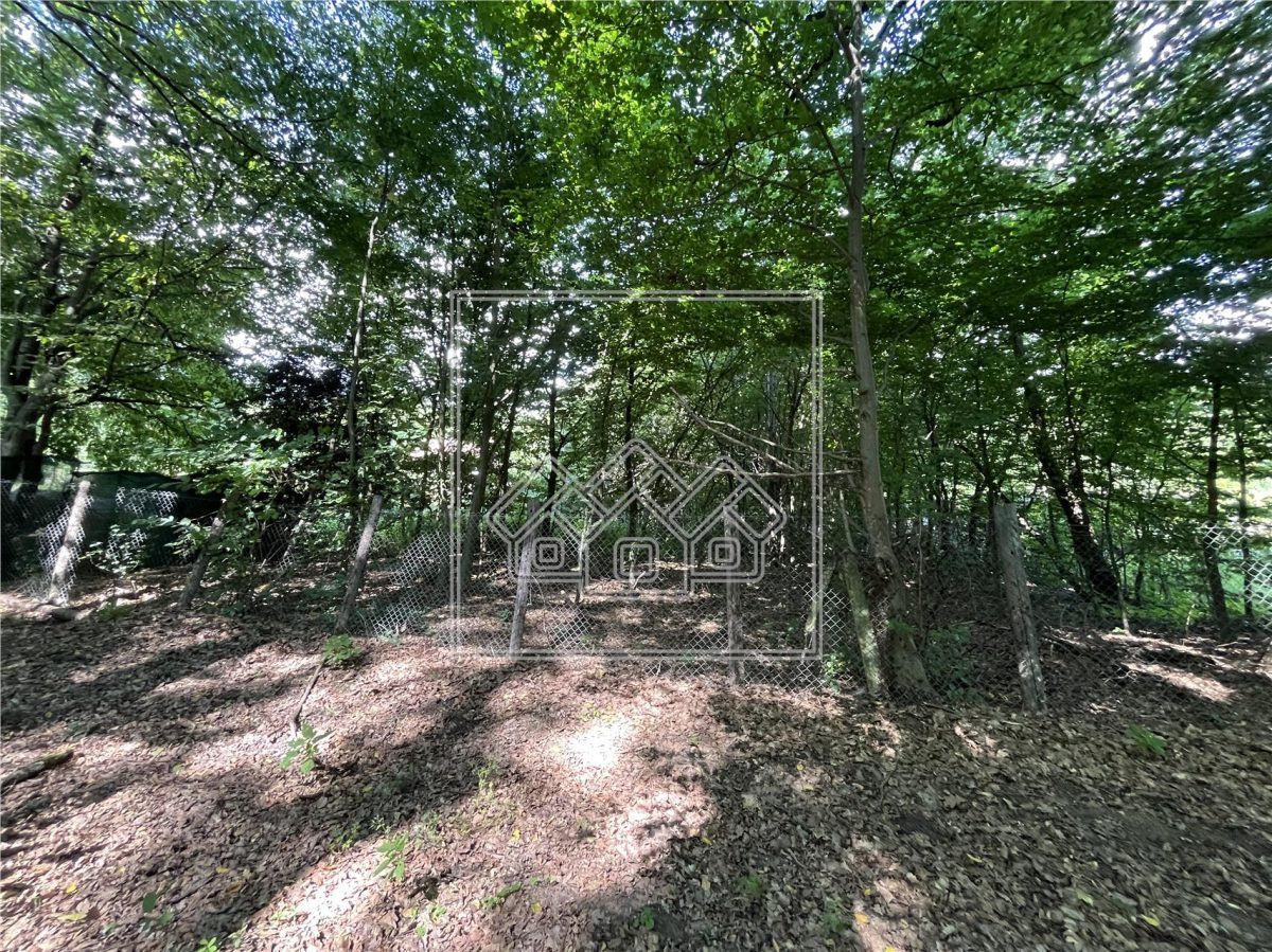 Teren in Cisnadie - 1.500 mp, inainte de Tocile, acces la drum, investitie - Cisnadie