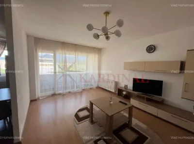 Apartament 2 camere, etaj intermediar, Alphaville -Racadau - foto 2