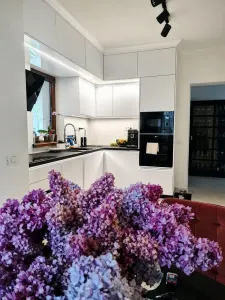 Vanzare casa 4 camere ,2 bai , garaj ,mobilata , utilata la cheie ,Bartolomeu - foto 4