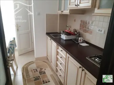 Apartament 3 camere de inchiriat Ultracentral X1RF105HC - foto 8