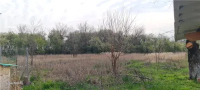 TEREN INTRAVILAN DOROBANTI - foto 6