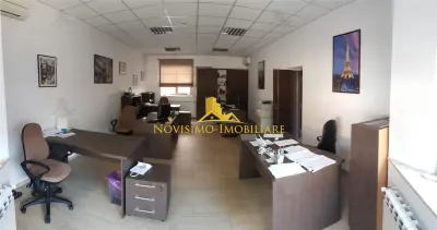 NOVISIMO-IMOBILIARE: VILA DE INCHIRIAT , ULTRACENTRAL - foto 6