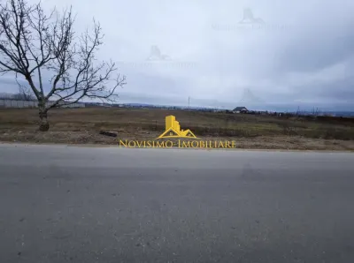 NOVISIMO-IMOBILIARE : VANZARI TERENURI IN BUCOV - foto 2
