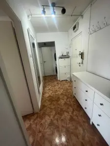 Decomandat cu 2 balcoane linga parcul Bucovina - Timisoara
