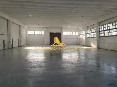 NOVISIMO-IMOBILIARE: HALA DE INCHIRIAT - foto 4
