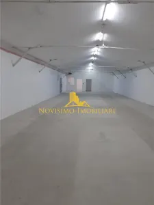 NOVISIMO-IMOBILIARE: HALA - foto 1