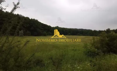 NOVISIMO-IMOBILIARE: TEREN INTRAVILAN IN LIPANESTI - foto 3