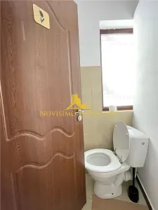 NOVISIMO-IMOBILIARE: SPATIU COMERCIAL  DE INCHIRIAT , ULTRACENTRAL - foto 14