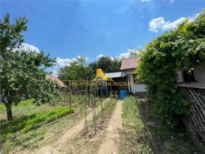 NOVISIMO-IMOBILIARE: CASA DE INCHIRIAT IN ZONA BREBU - foto 4
