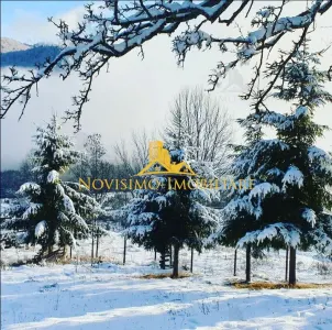 NOVISIMO-IMOBILIARE: CABANA IN ZONA VALEA DOFTANEI, 7000 MP TEREN - foto 11