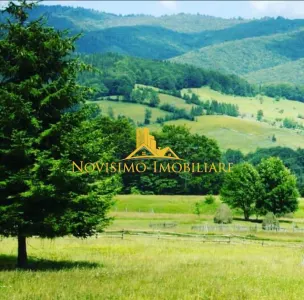NOVISIMO-IMOBILIARE: CABANA IN ZONA VALEA DOFTANEI, 7000 MP TEREN - foto 4