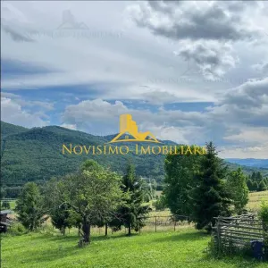 NOVISIMO-IMOBILIARE: CABANA IN ZONA VALEA DOFTANEI, 7000 MP TEREN - foto 5
