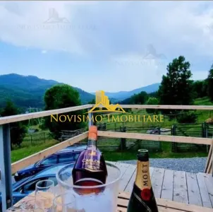 NOVISIMO-IMOBILIARE: CABANA IN ZONA VALEA DOFTANEI, 7000 MP TEREN - foto 10