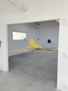 NOVISIMO-IMOBILIARE: HALA DE INCHIRIAT IN BAICOI - foto 4