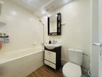 Apartament cu 2 camere de inchiriat ultracentral zona Bizo - foto 5