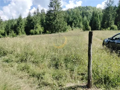 Teren de vanzare pt cabana pe Valea Ilvei - foto 12