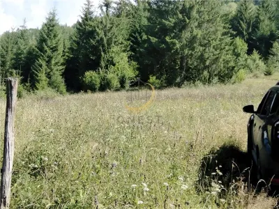 Teren de vanzare pt cabana pe Valea Ilvei - foto 15