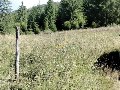 Teren de vanzare pt cabana pe Valea Ilvei - foto 17