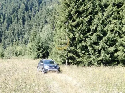 Teren de vanzare pt cabana pe Valea Ilvei - foto 18