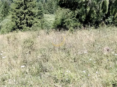 Teren de vanzare pt cabana pe Valea Ilvei - foto 20