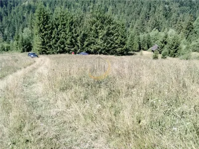 Teren de vanzare pt cabana pe Valea Ilvei - foto 24