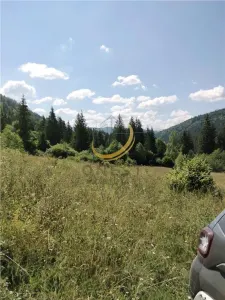 Teren de vanzare pt cabana pe Valea Ilvei - foto 5