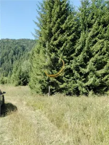 Teren de vanzare pt cabana pe Valea Ilvei - foto 7