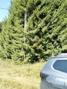 Teren de vanzare pt cabana pe Valea Ilvei - foto 9