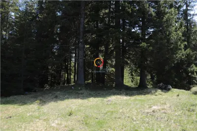 terenuri speciale Padina Busteni sunt dispuse ca o veritabila coroana in jurul lacului Bolboci - foto 23