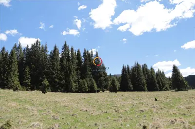 terenuri speciale Padina Busteni sunt dispuse ca o veritabila coroana in jurul lacului Bolboci - foto 10