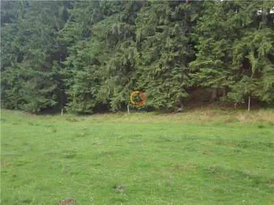 Vile,Hotel sau Pensiune este alegerea  in privinta acestui teren! - foto 13