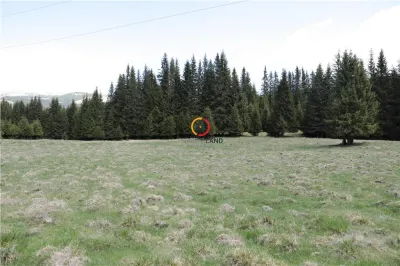 terenuri speciale Padina Busteni, sunt dispuse ca o veritabila coroana in jurul lacului Bolboci - foto 5
