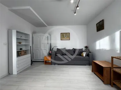 Apartament 1 camera,40 mp utili, situat pe strada Maramureșului! - foto 3