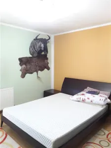 Royal Imobiliare - Vanzari Vile - foto 13