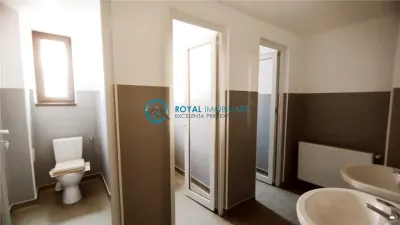 Royal Imobiliare - Inchiriere cladire birouri zona Ultracentral - foto 19