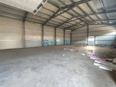Royal Imobiliare - Inchiriere Spatiu Industrial zona Xenia - foto 3