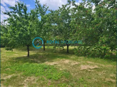 Royal Imobiliare-Vanzare Teren Intravilan Zona Paulesti - foto 2
