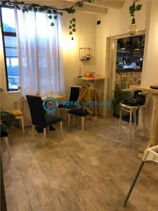 Royal Imobiliare - Vanzare Vila Ultracentral - foto 7