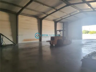 Royal Imobiliare- inchirieri spatii industriale Bucov - foto 4