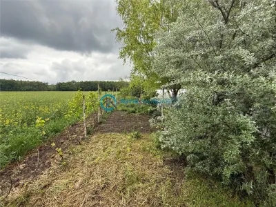 Royal Imobiliare - Vanzare Vila zona Cocorasti Colt - foto 4