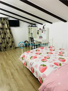 Royal Imobiliare - Vanzare Vila cu 6 camere zona B-dul Bucuresti - foto 14