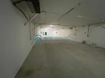 Royal Imobiliare-Inchiriere Spatiu Industrial-zona Xenia - foto 4