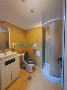 Royal Imobiliare-Inchiriere Spatiu de birouri-zona Exterior Vest - foto 18