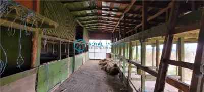 Royal Imobiliare-Vanzare Oportunitate Investitie Micro-ferma-Valea Calugareasca - foto 24