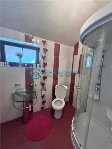 Royal Imobiliare - Vanzare Vila zona Paulesti - foto 20