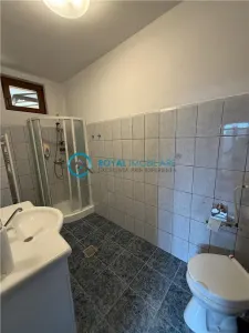 Royal Imobiliare - Inchiriere casa zona Ultracentral - foto 17