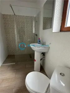 Royal Imobiliare-Inchiriere Casa Strejnicu - foto 11